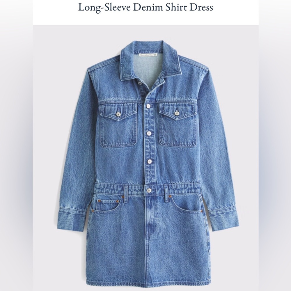 Abercrombie Denim Button Up Shirt Dress